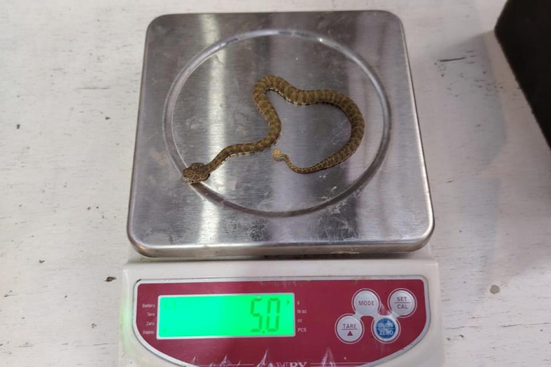 Centro de conservación de reptiles