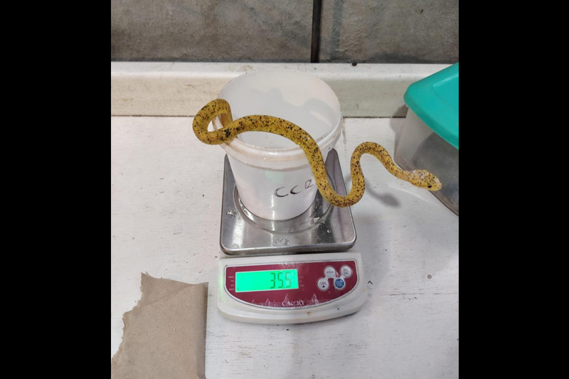 Centro de conservación de reptiles