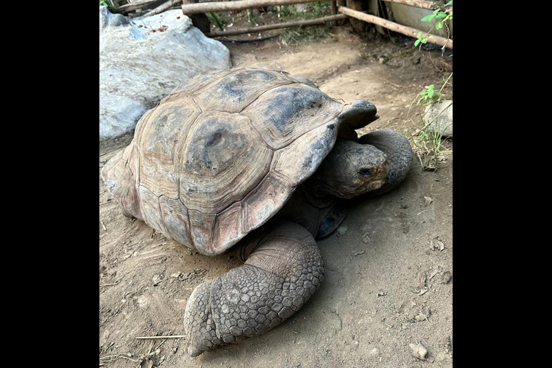 Centro de conservación de reptiles