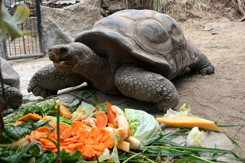 Centro de conservación de reptiles