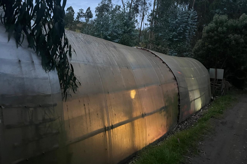 Centro de conservación de reptiles