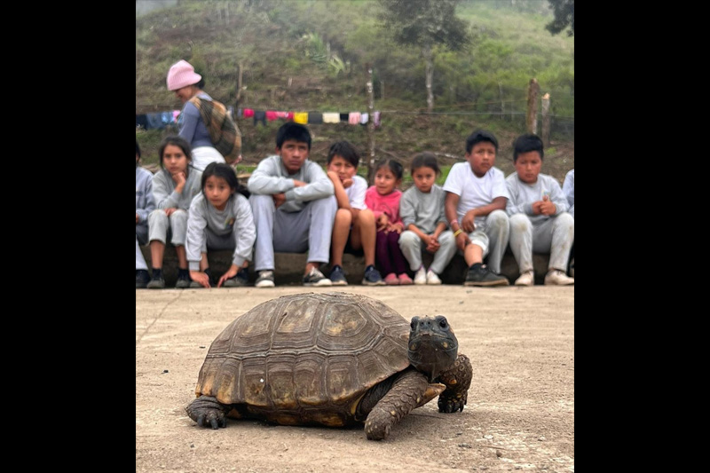 Centro de conservación de reptiles