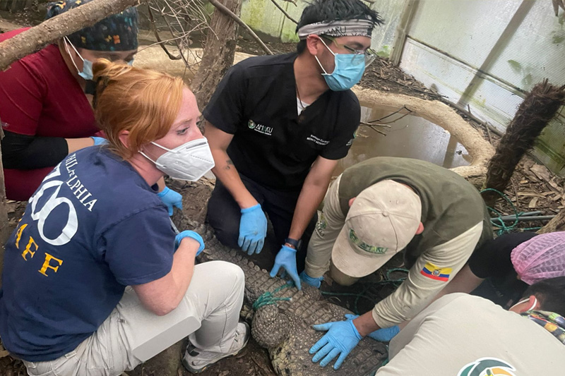 Centro de conservación de reptiles