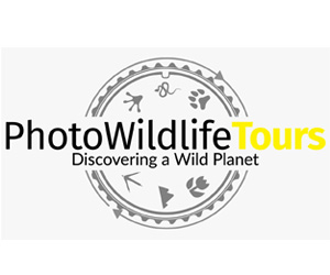 Photo Wildlife Tours