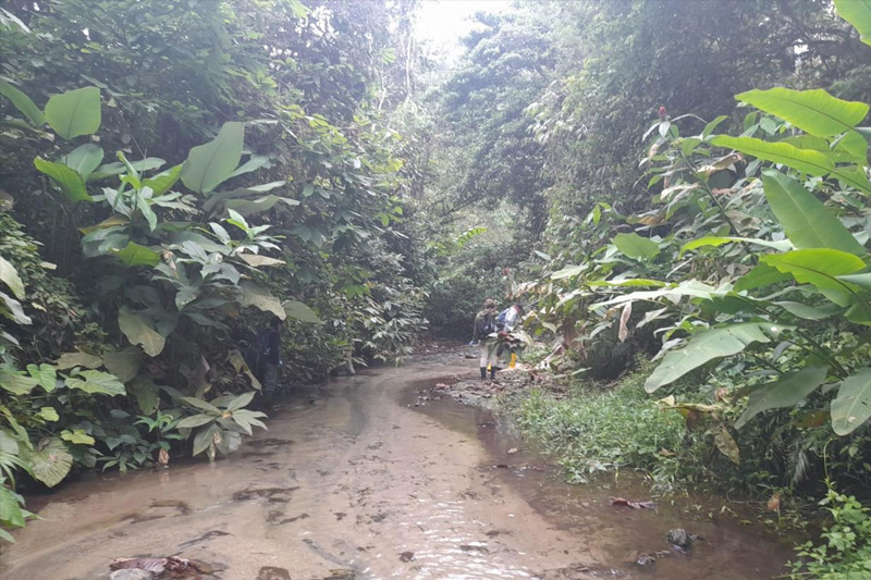 Centro de Conservación de Anfibios