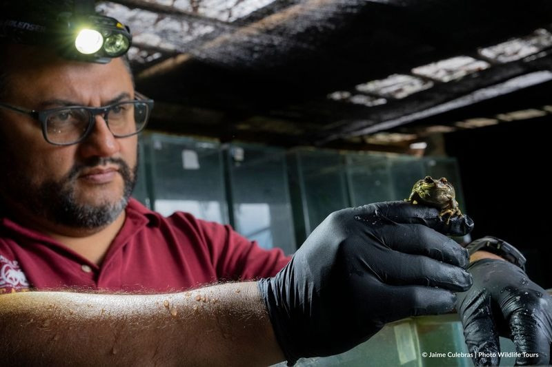 Centro de Conservación de Anfibios