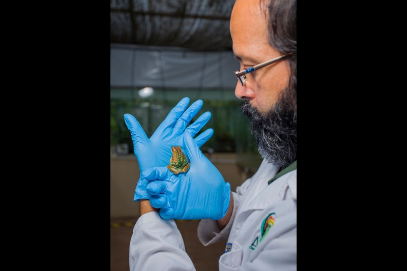 Centro de Conservación de Anfibios