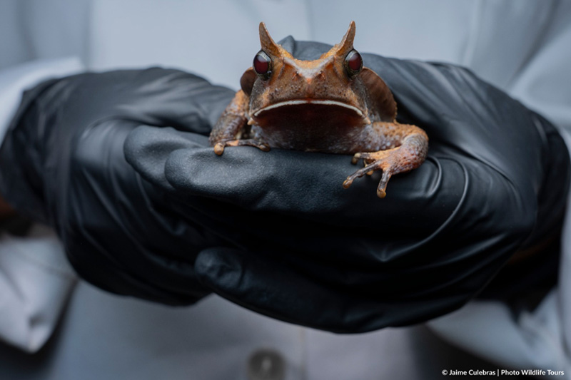 Centro de Conservación de Anfibios