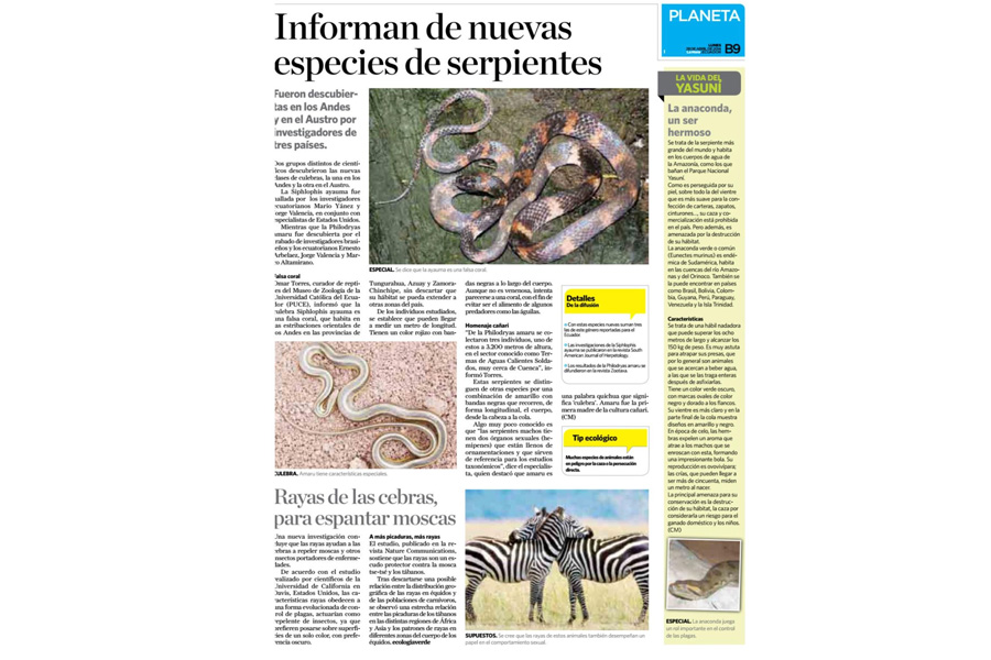 Culebra Corredora de Amaru