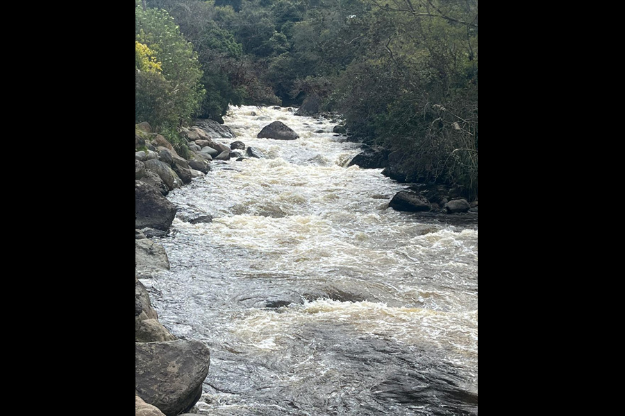 Culebra Corredora de Amaru
