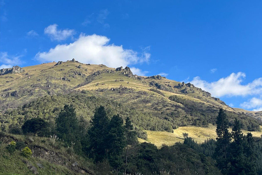 Culebra Corredora de Amaru