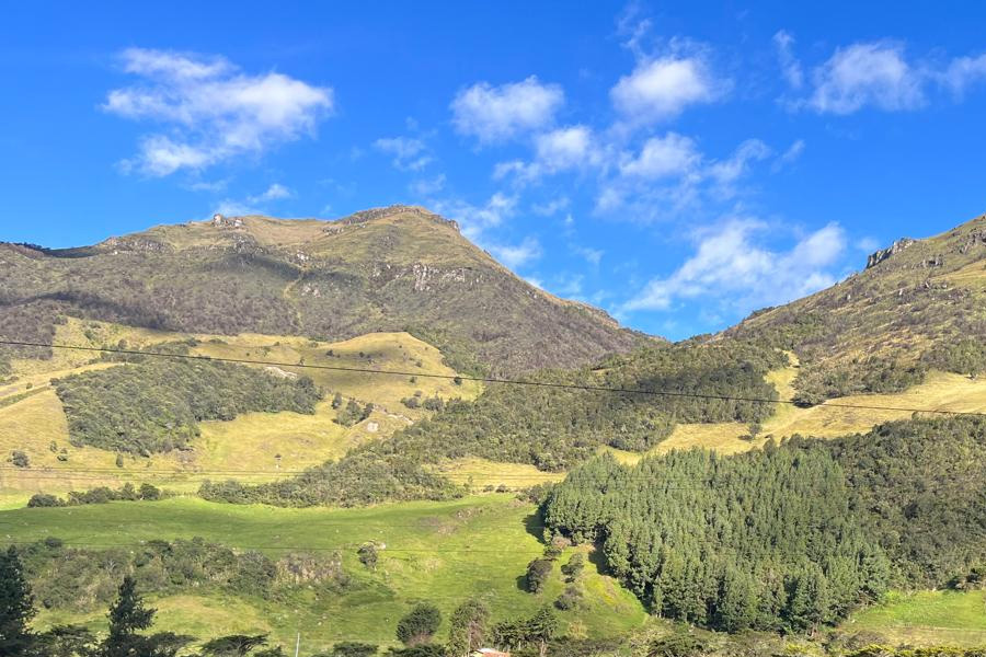 Culebra Corredora de Amaru