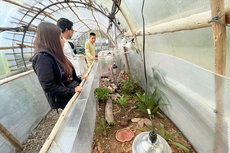Guardianes de la Coliazul