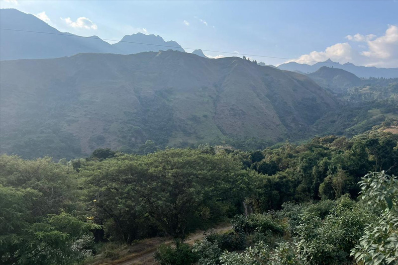 Guardianes de la Coliazul