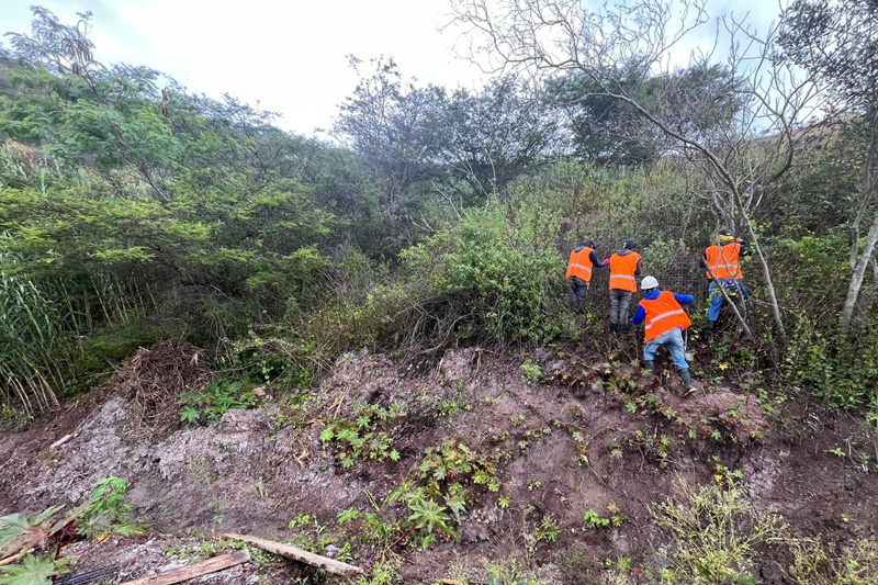 Guardianes de la Coliazul