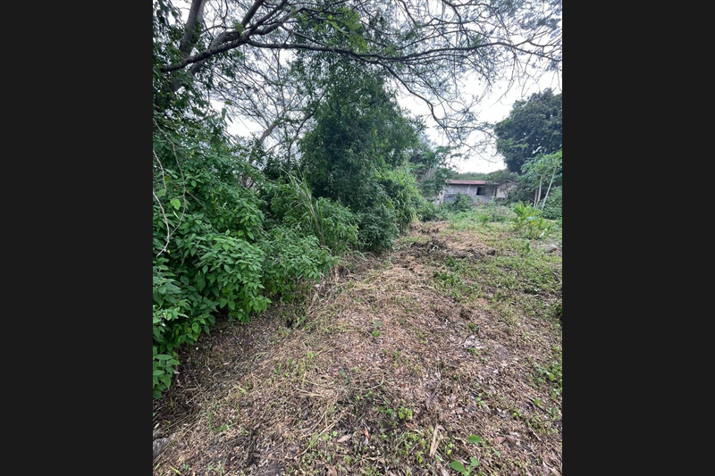 Guardianes de la Coliazul