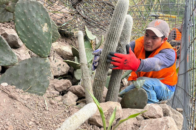 Guardianes de la Coliazul