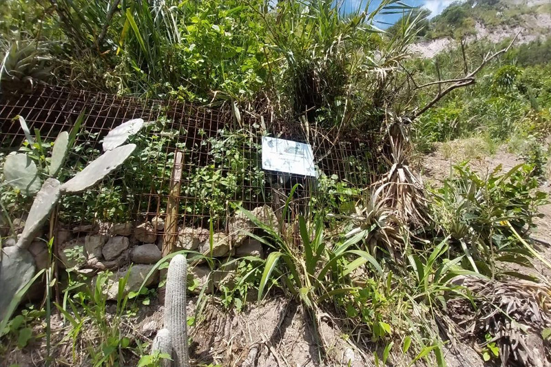 Guardianes de la Coliazul