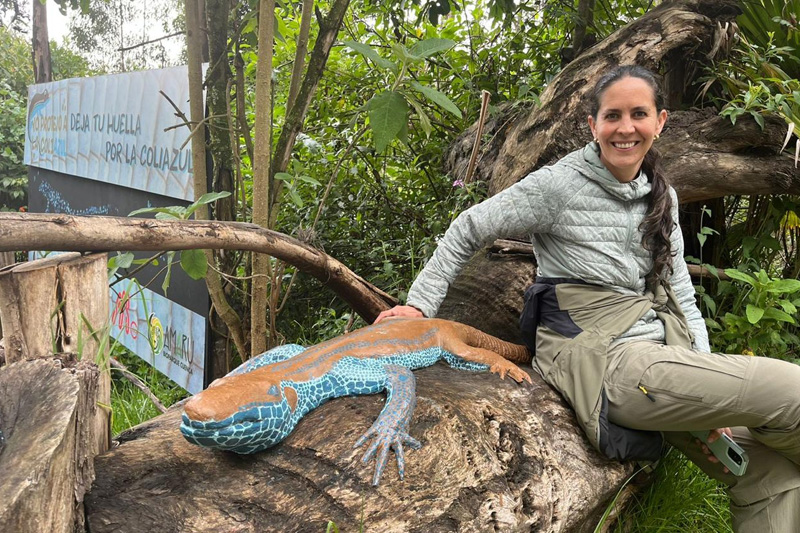 Guardianes de la Coliazul