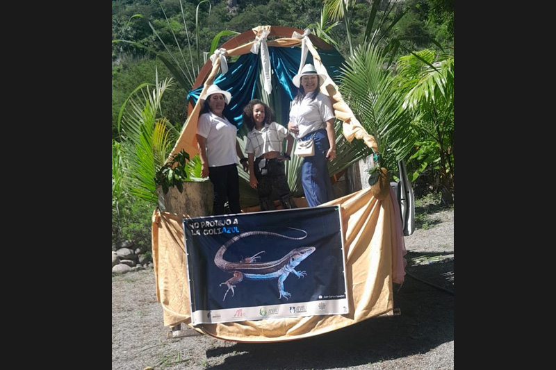 Guardianes de la Coliazul