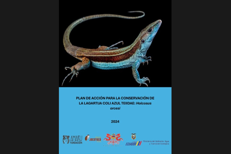 Guardianes de la Coliazul