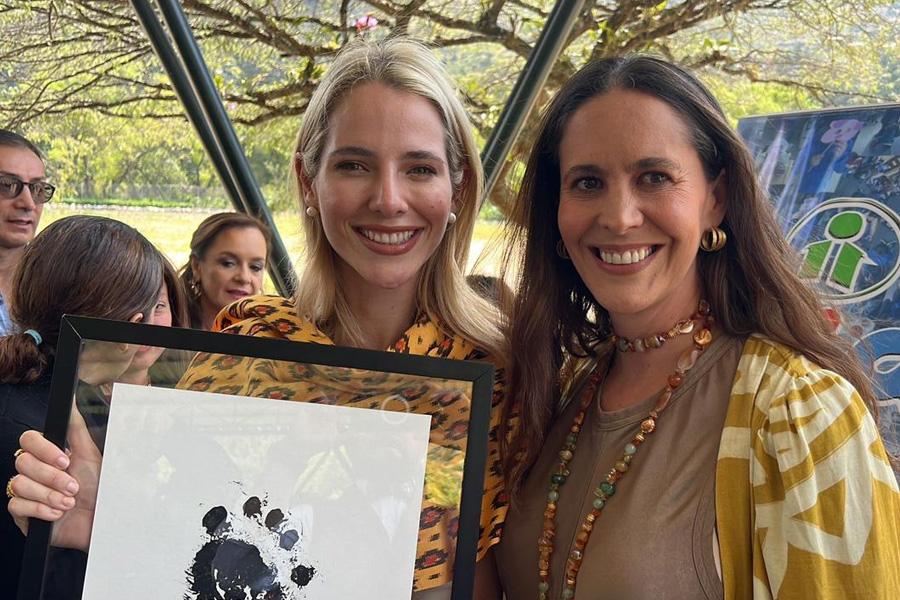 Oso Andino Proyectos de Conservación