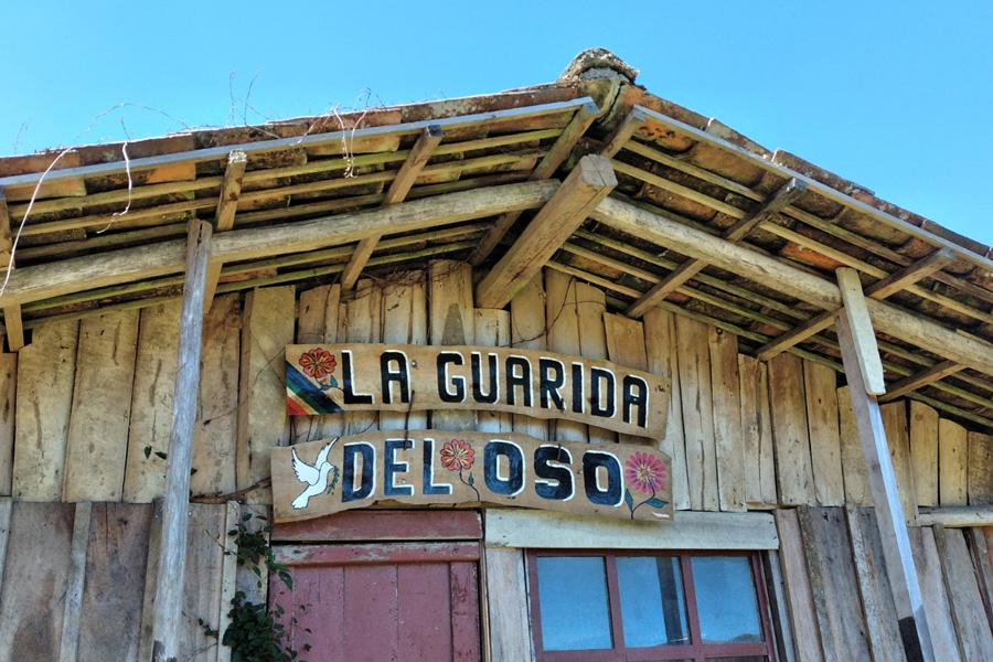 Oso Andino Proyectos de Conservación