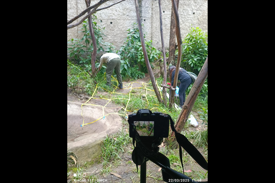 Oso Andino Proyectos de Conservación