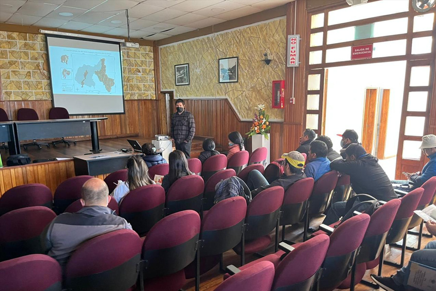 Oso Andino Proyectos de Conservación