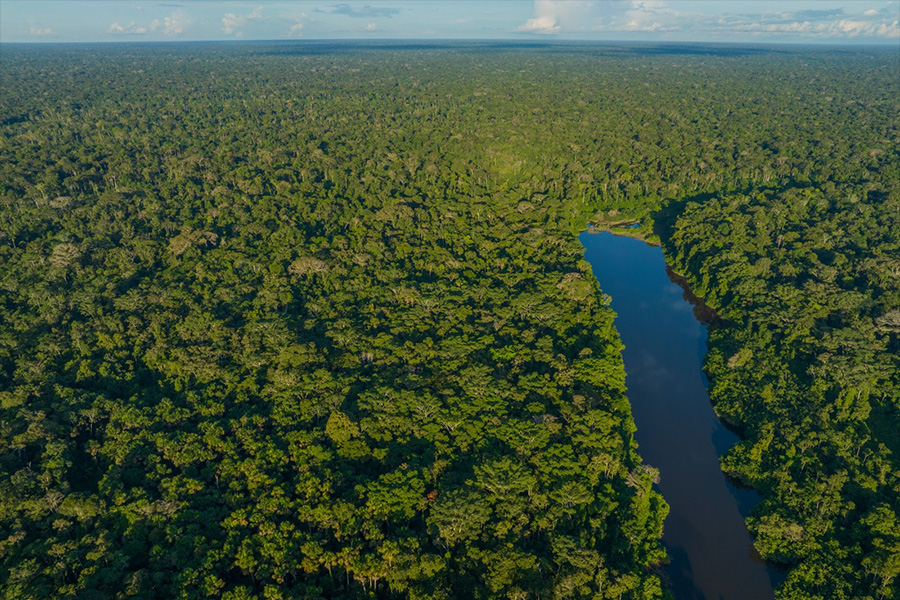Selva Eterna Reserva Biológica