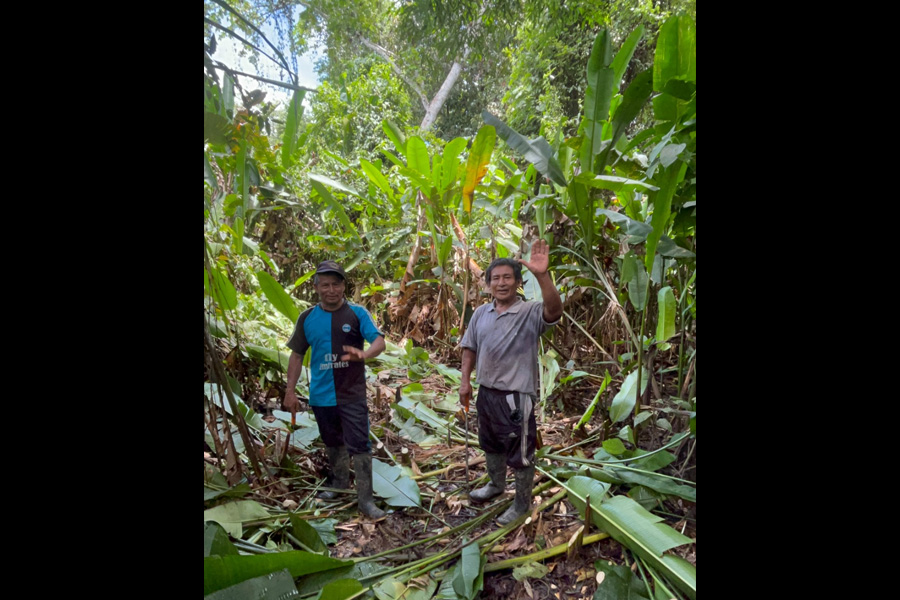Selva Eterna Reserva Biológica