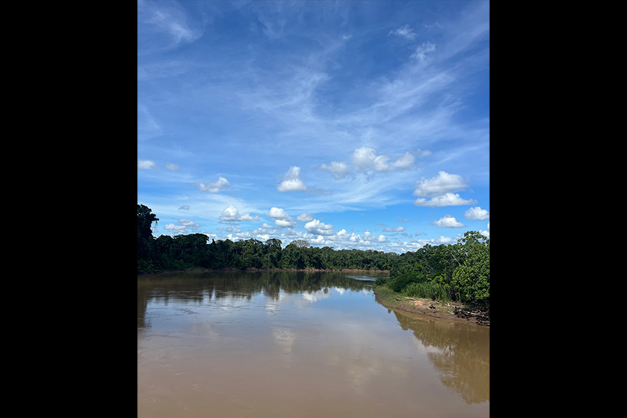 Selva Eterna Reserva Biológica