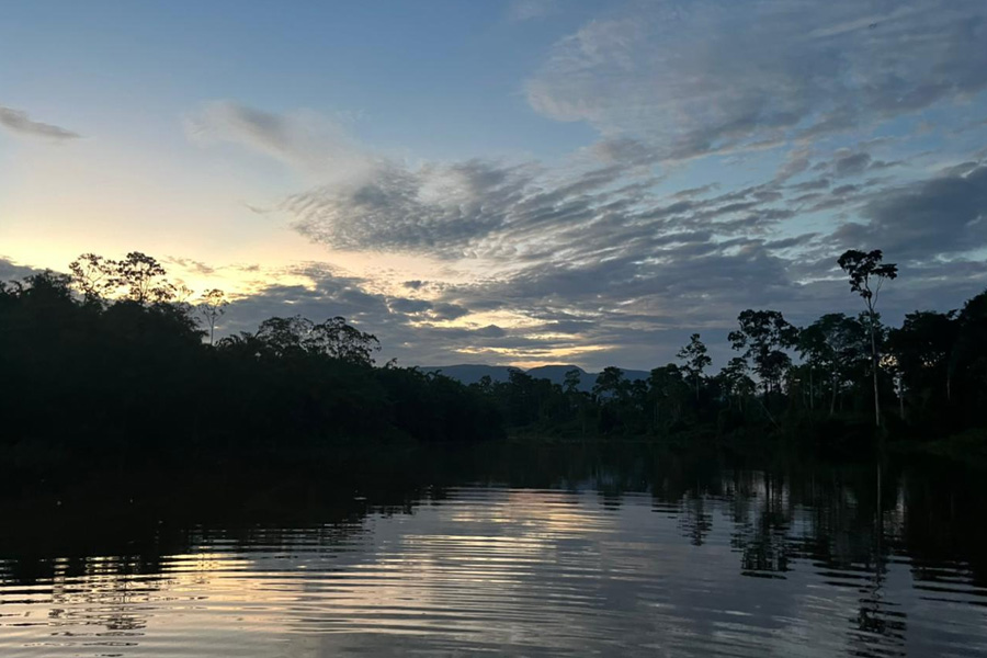 Selva Eterna Reserva Biológica