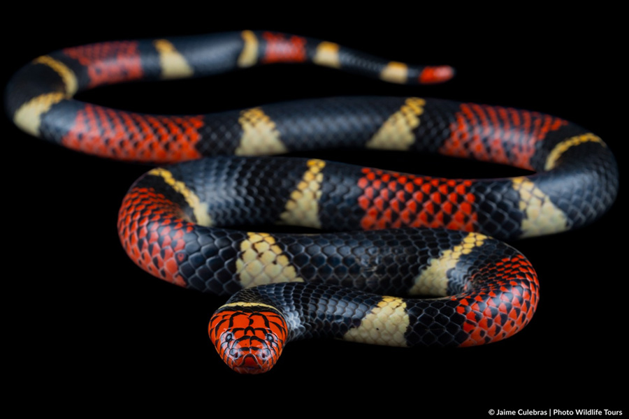 Selva Eterna Reserva Biológica