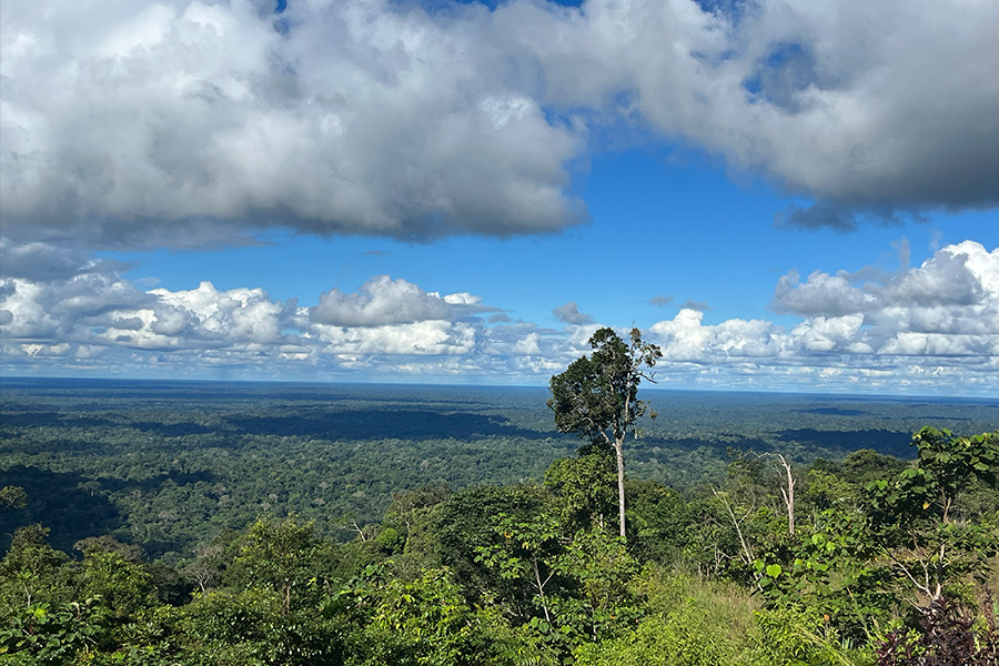 Selva Eterna Reserva Biológica