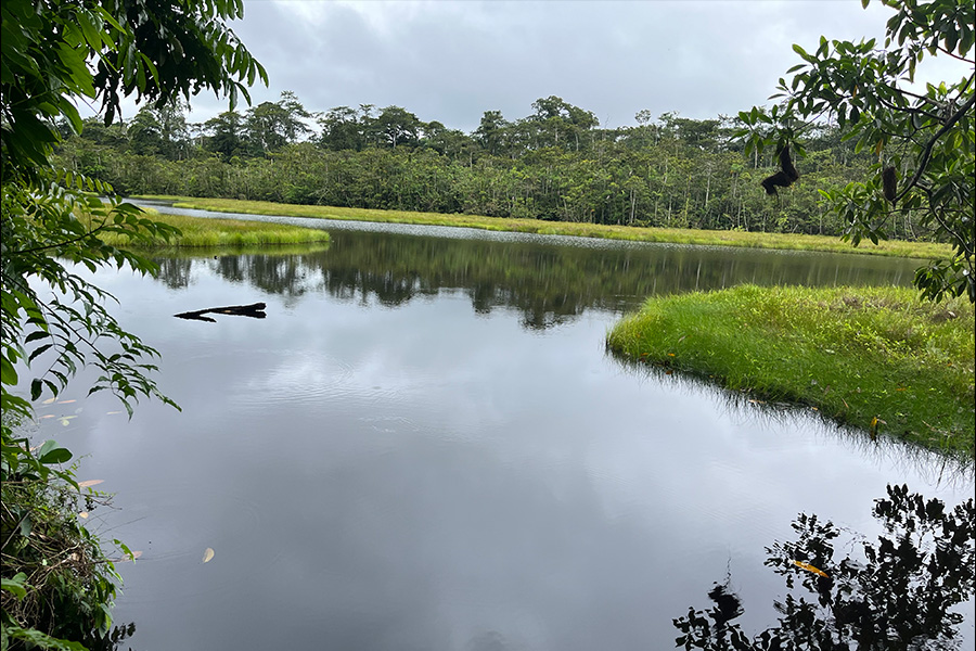 Selva Eterna Reserva Biológica